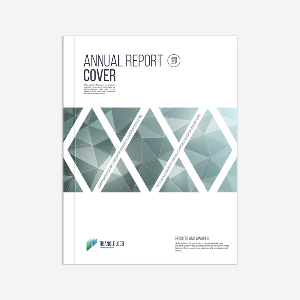 Company annual clearance report 2017